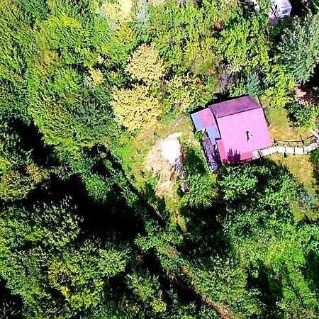 Mystically Wood House In The Forest Carjari Экстерьер фото