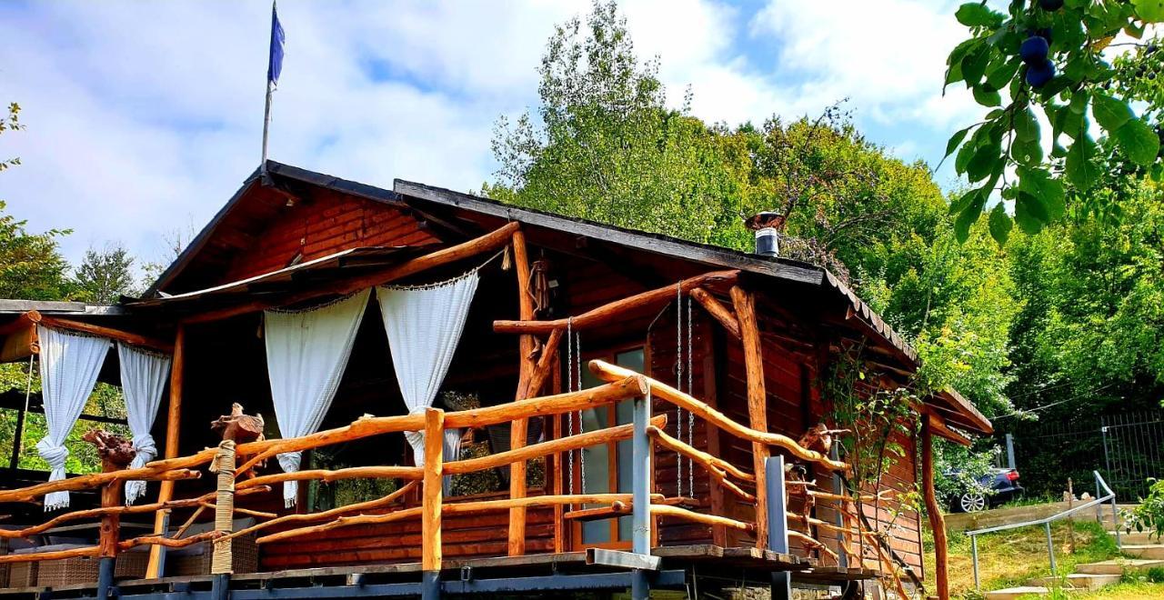 Mystically Wood House In The Forest Carjari Экстерьер фото