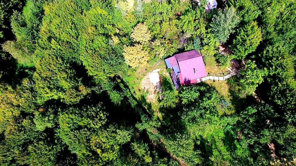 Mystically Wood House In The Forest Carjari Экстерьер фото